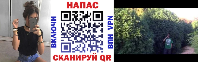Что такое Белоусово Каннабис A-PVP Гашиш